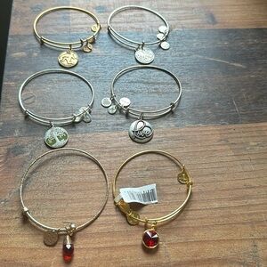 Alex and Ani Charm Bracelets